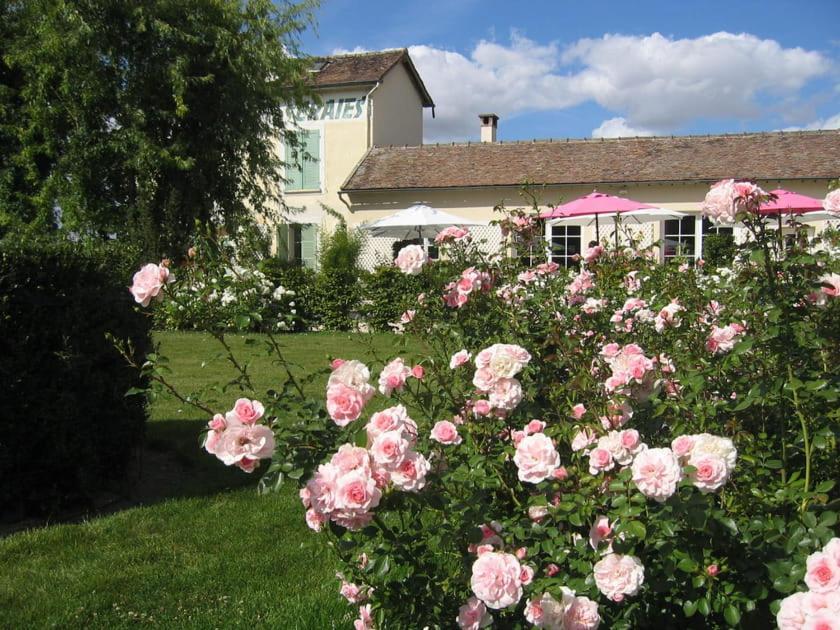 Gite Dans Une Ancienne Corps De Ferme D Provins Exteriér fotografie